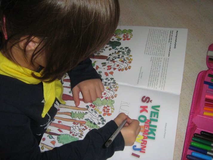 Projekt \"Veliki nemarni škornji\"