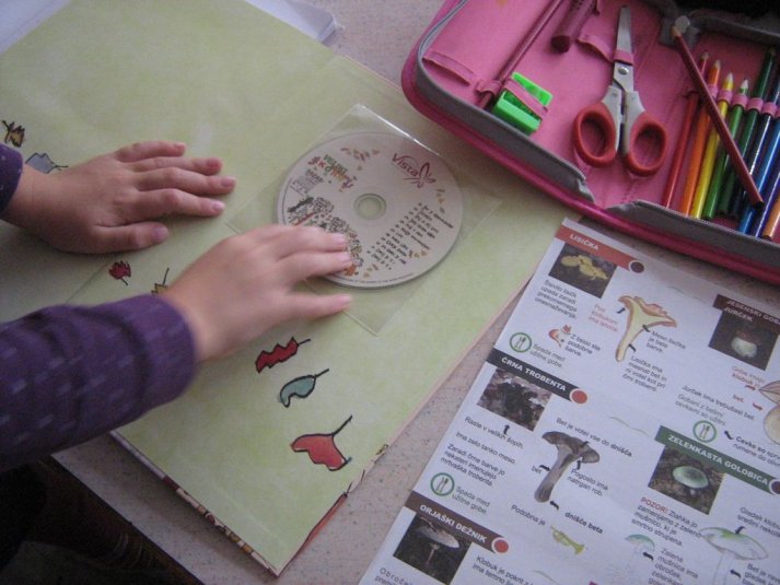 Projekt \"Veliki nemarni škornji\"