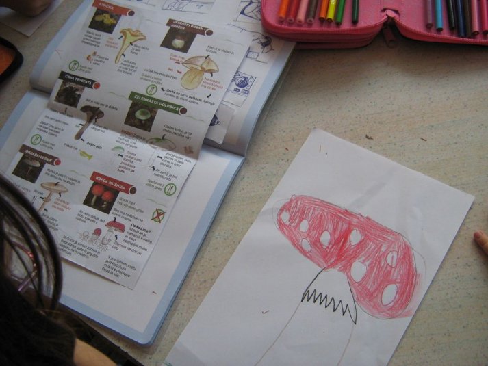 Projekt \"Veliki nemarni škornji\"