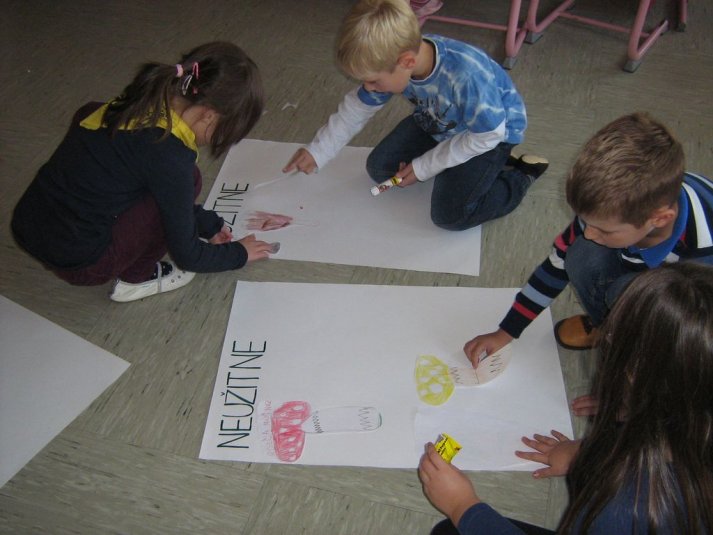 Projekt \"Veliki nemarni škornji\"