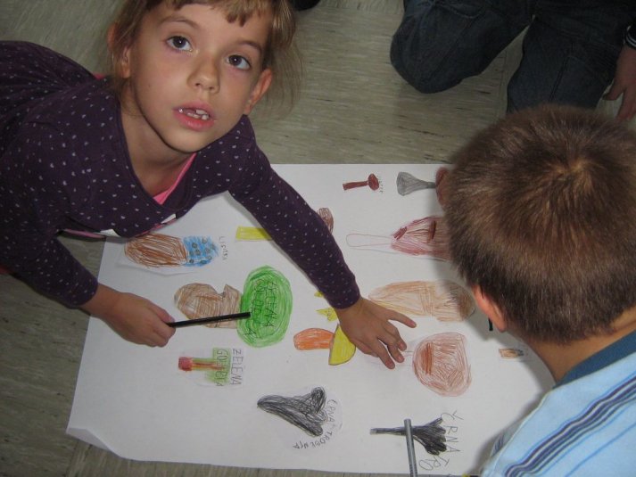 Projekt \"Veliki nemarni škornji\"