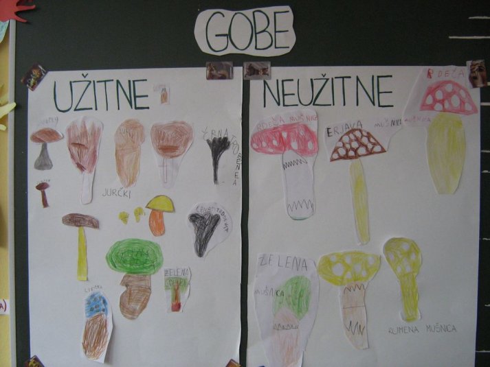 Projekt \"Veliki nemarni škornji\"