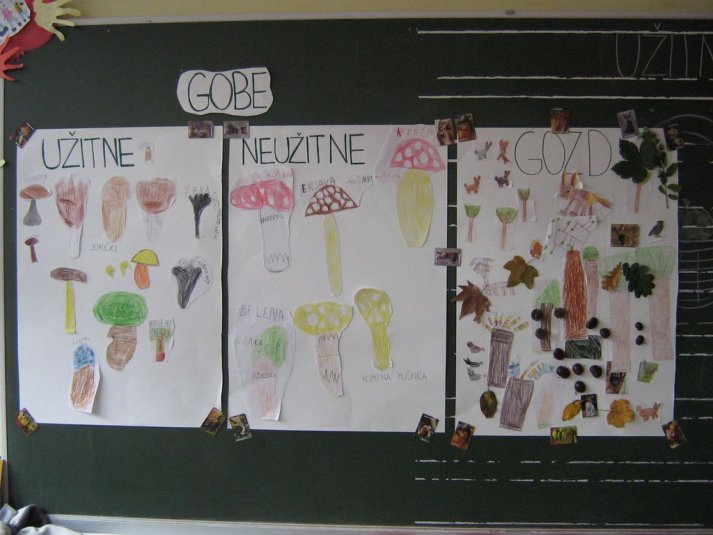 Projekt \"Veliki nemarni škornji\"