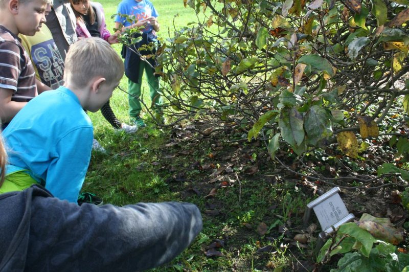 Park nekoč in danes