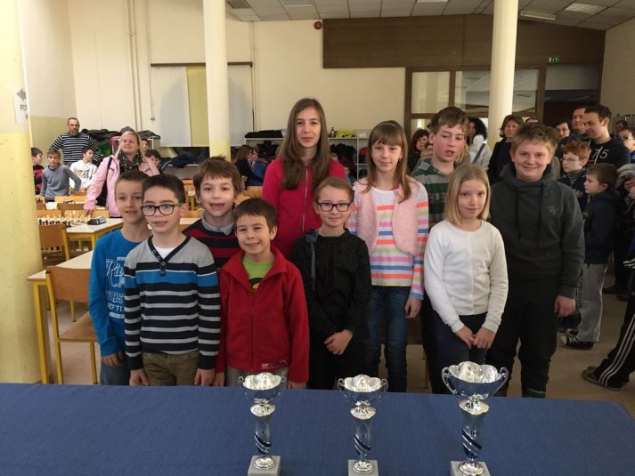 Področno ekipno prvenstvo v šahu