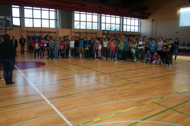 Predstavitev poklicev