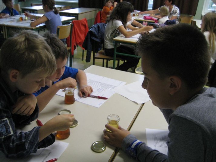 XII. Ekološko raziskovalni tabor Polžek