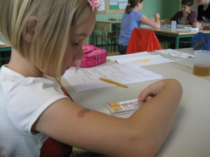 XII. Ekološko raziskovalni tabor Polžek