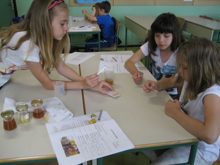 XII. Ekološko raziskovalni tabor Polžek