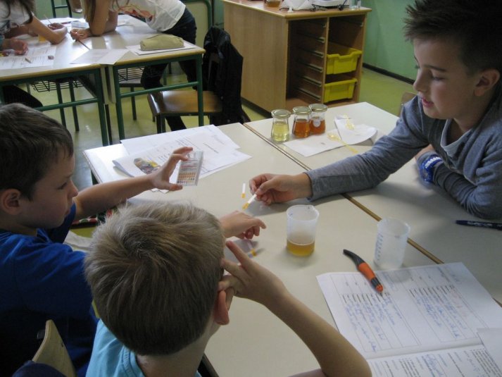 XII. Ekološko raziskovalni tabor Polžek