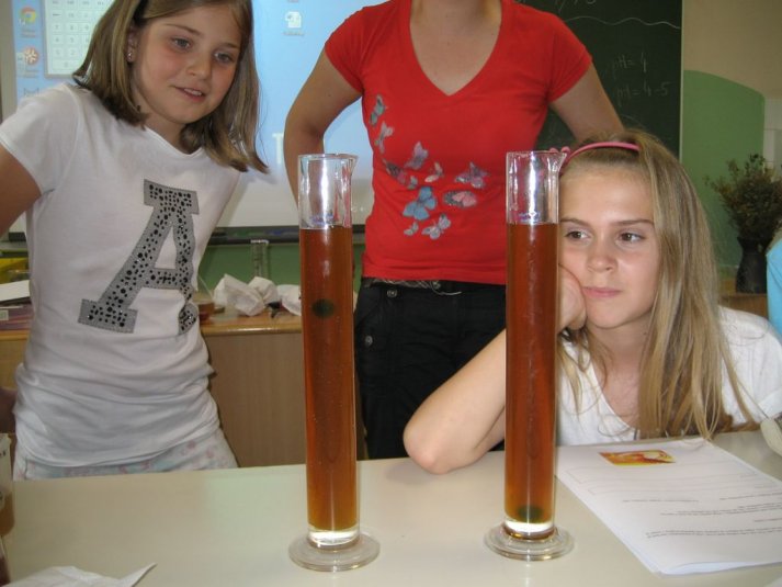 XII. Ekološko raziskovalni tabor Polžek