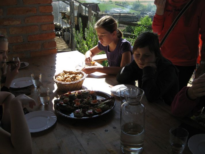 XII. Ekološko raziskovalni tabor Polžek