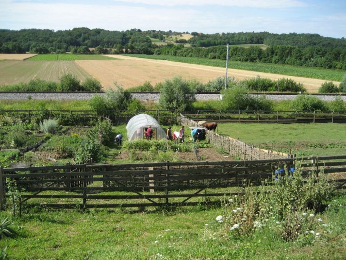 XII. Ekološko raziskovalni tabor Polžek