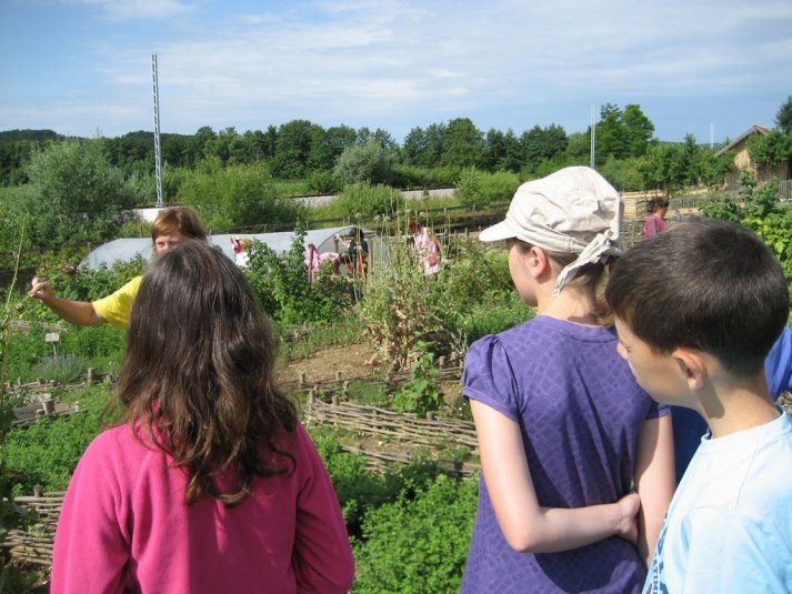 XII. Ekološko raziskovalni tabor Polžek