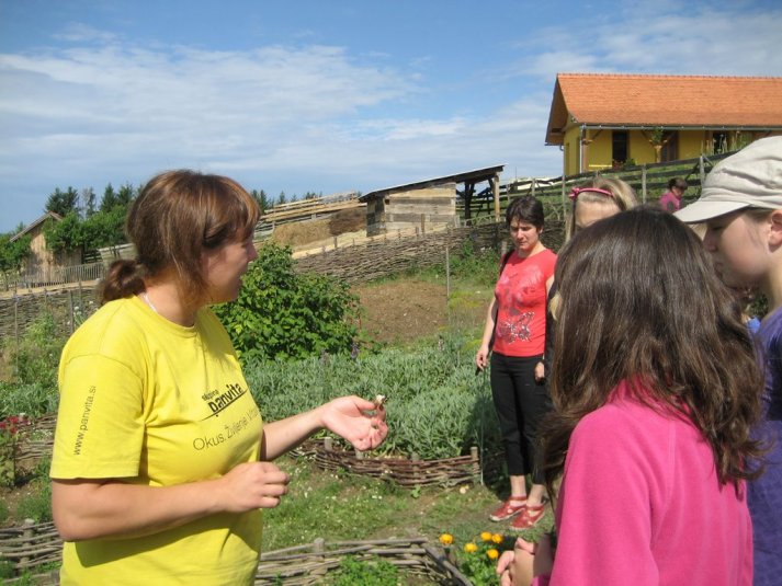 XII. Ekološko raziskovalni tabor Polžek