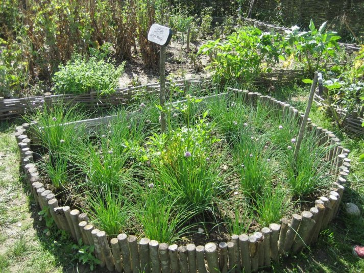 XII. Ekološko raziskovalni tabor Polžek