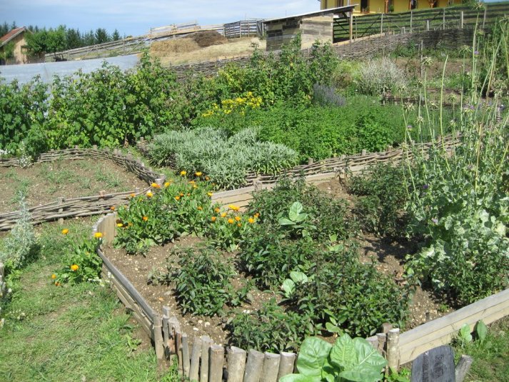 XII. Ekološko raziskovalni tabor Polžek