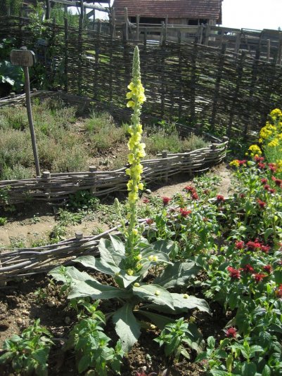 XII. Ekološko raziskovalni tabor Polžek