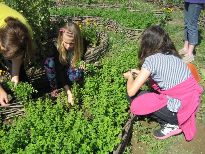 XII. Ekološko raziskovalni tabor Polžek