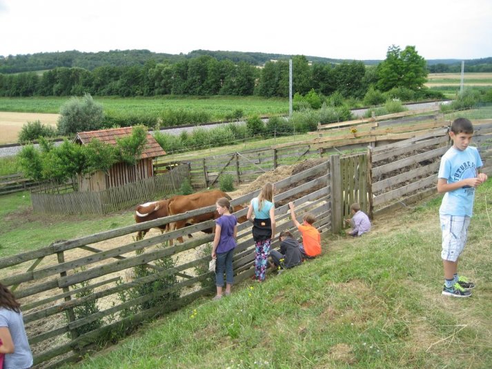 XII. Ekološko raziskovalni tabor Polžek