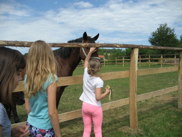 XII. Ekološko raziskovalni tabor Polžek