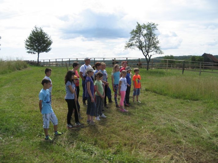 XII. Ekološko raziskovalni tabor Polžek