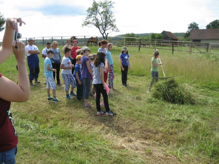 XII. Ekološko raziskovalni tabor Polžek
