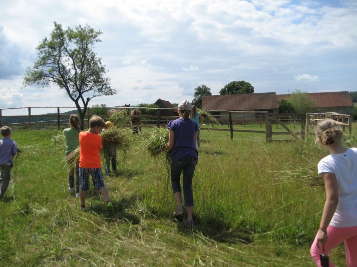 XII. Ekološko raziskovalni tabor Polžek