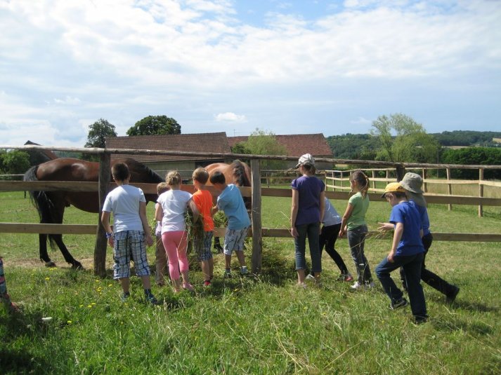 XII. Ekološko raziskovalni tabor Polžek