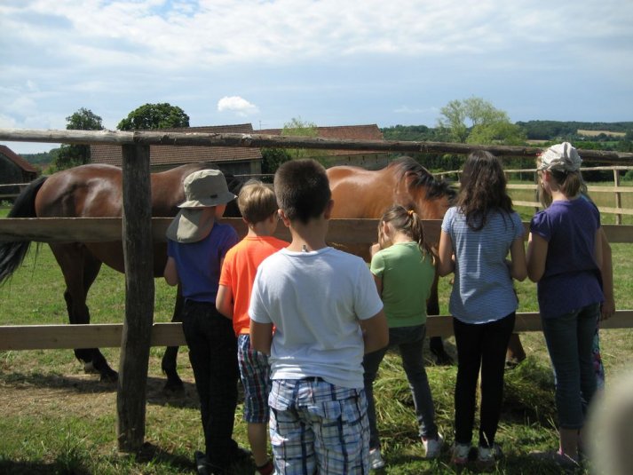 XII. Ekološko raziskovalni tabor Polžek
