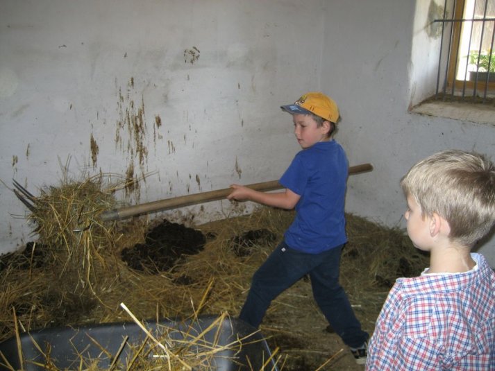 XII. Ekološko raziskovalni tabor Polžek