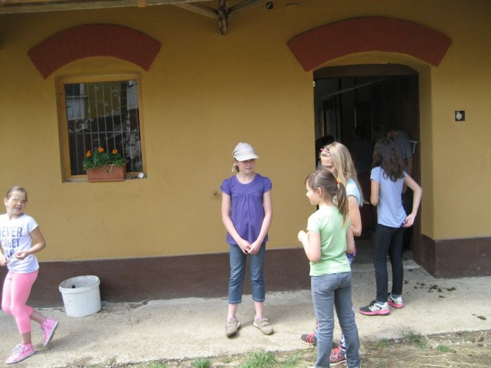 XII. Ekološko raziskovalni tabor Polžek