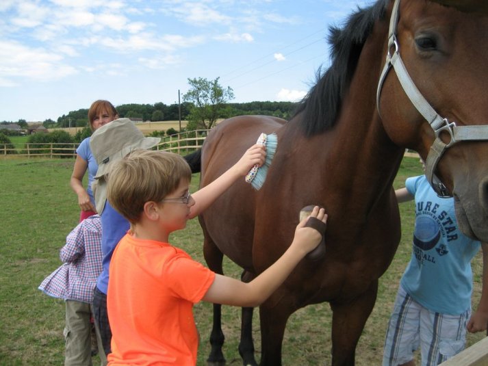 XII. Ekološko raziskovalni tabor Polžek