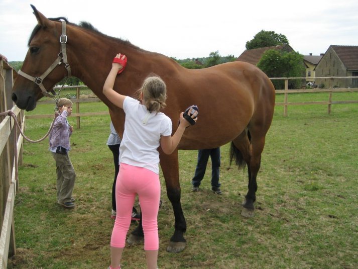 XII. Ekološko raziskovalni tabor Polžek