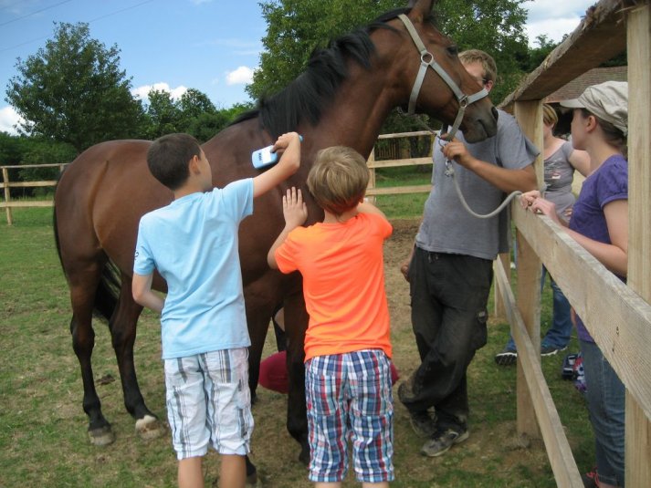 XII. Ekološko raziskovalni tabor Polžek