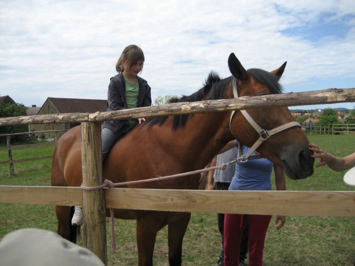 XII. Ekološko raziskovalni tabor Polžek