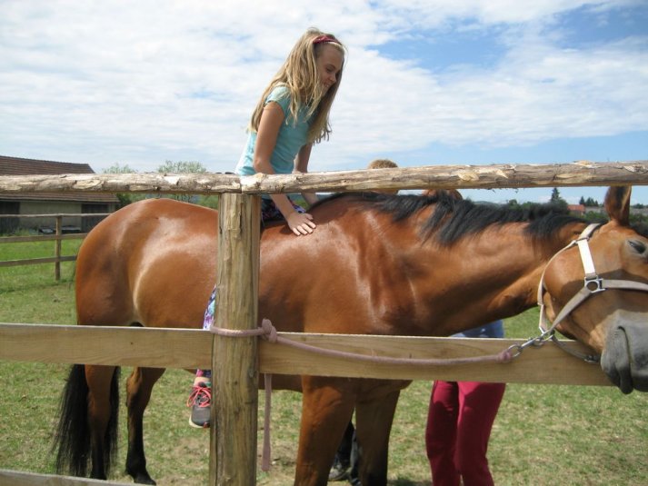 XII. Ekološko raziskovalni tabor Polžek