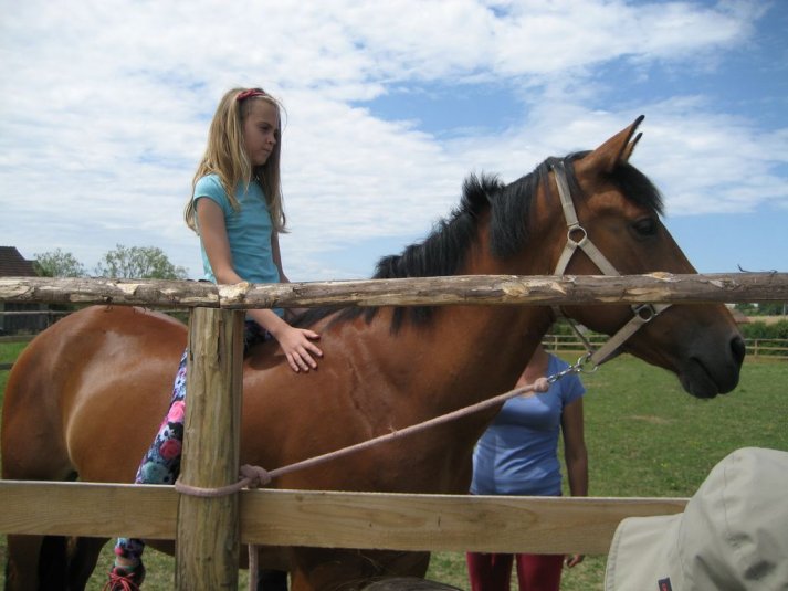 XII. Ekološko raziskovalni tabor Polžek