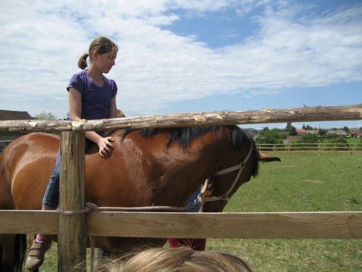 XII. Ekološko raziskovalni tabor Polžek