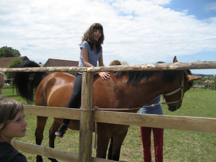 XII. Ekološko raziskovalni tabor Polžek