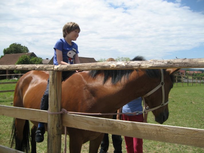 XII. Ekološko raziskovalni tabor Polžek