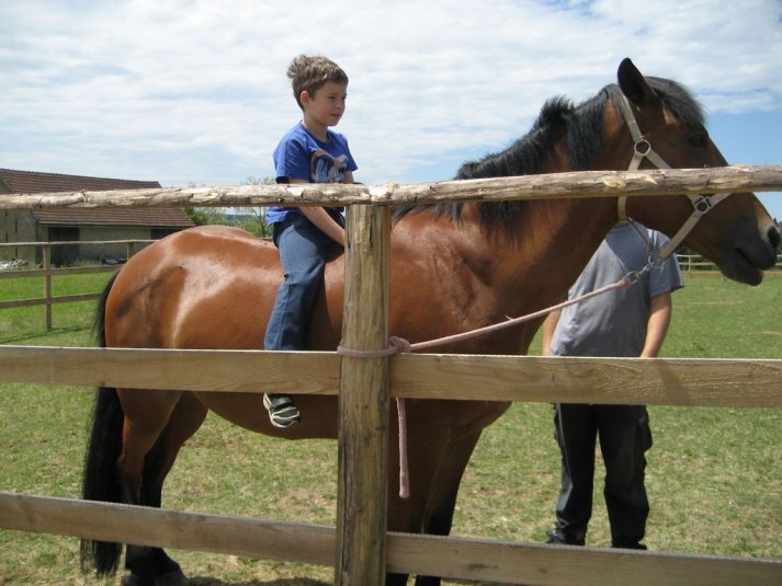 XII. Ekološko raziskovalni tabor Polžek
