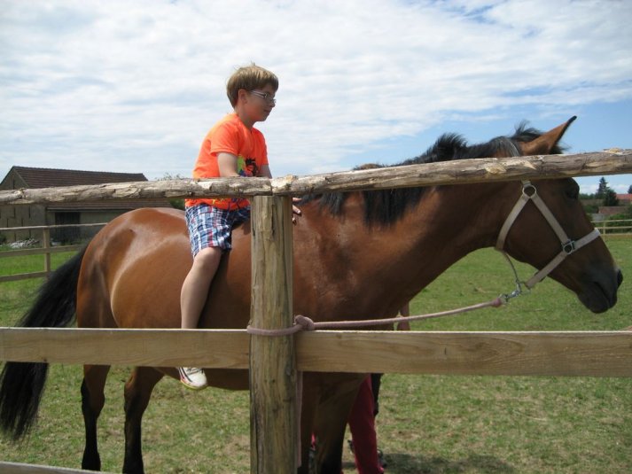 XII. Ekološko raziskovalni tabor Polžek