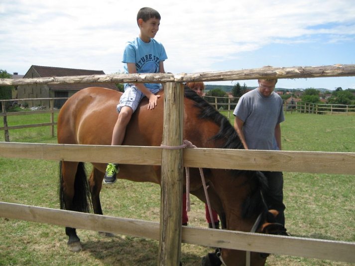 XII. Ekološko raziskovalni tabor Polžek