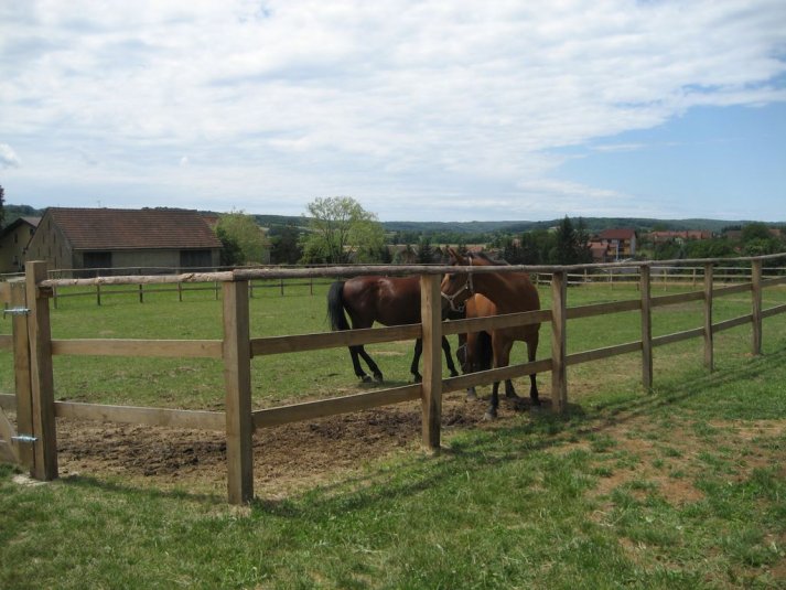 XII. Ekološko raziskovalni tabor Polžek