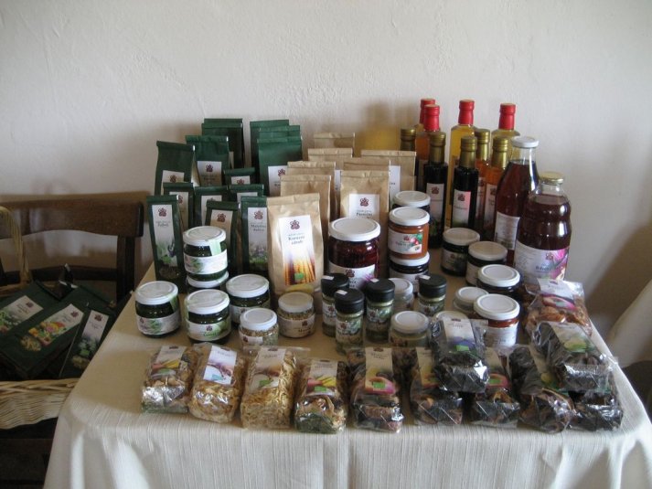 XII. Ekološko raziskovalni tabor Polžek