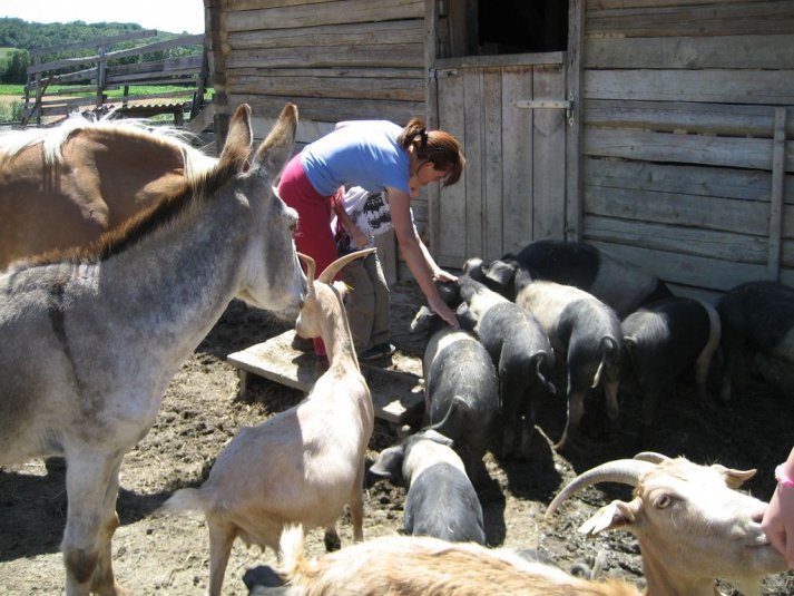 XII. Ekološko raziskovalni tabor Polžek