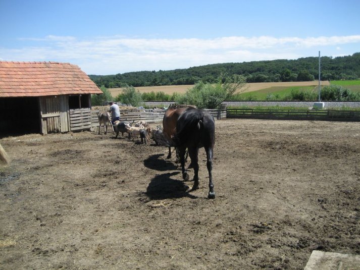XII. Ekološko raziskovalni tabor Polžek