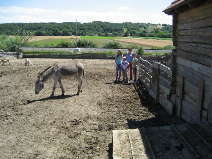 XII. Ekološko raziskovalni tabor Polžek