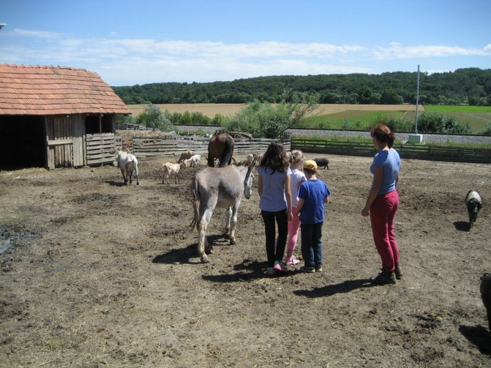 XII. Ekološko raziskovalni tabor Polžek